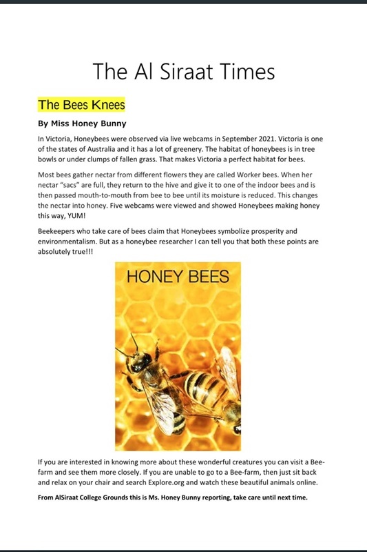 Year 4 students news reports